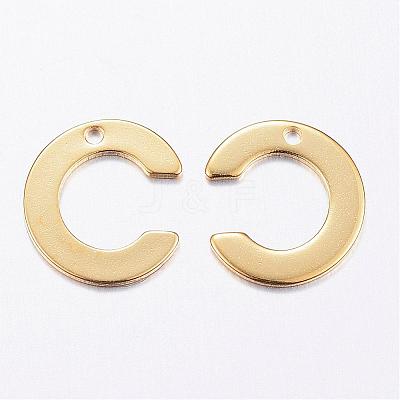 304 Stainless Steel Charms STAS-P141-C-1
