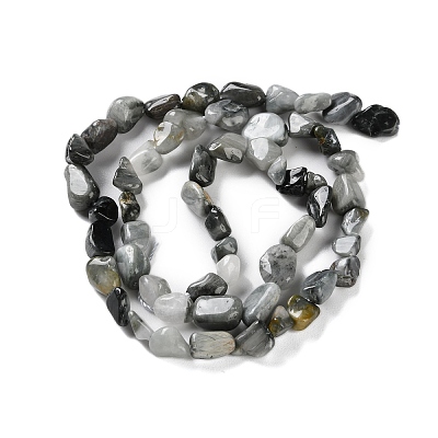 Natural Eagle Eye Stone Beads Strands X-G-P497-01C-52-1