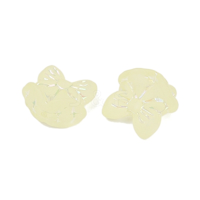 Frosted Transparent Acrylic Beads X1-OACR-P029-18B-03-1