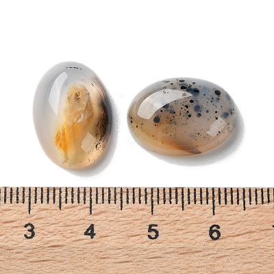 Natural Dendritic Agate Cabochons G-B138-02A-1
