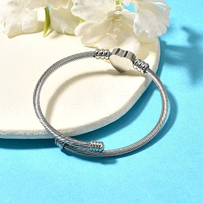 Tarnish Resistant 316 Surgical Stainless Steel Torque Bangles BJEW-D437-A37-P-1