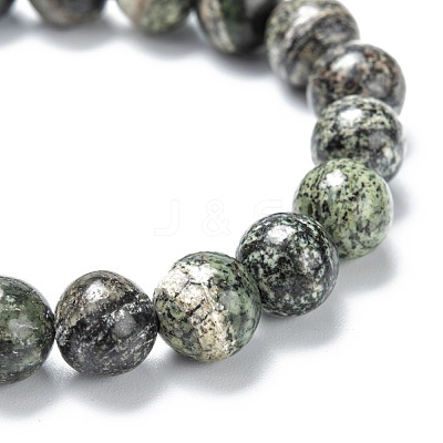 Natural Zebra Jasper Stretch Beaded Bracelets G-A185-01B-1