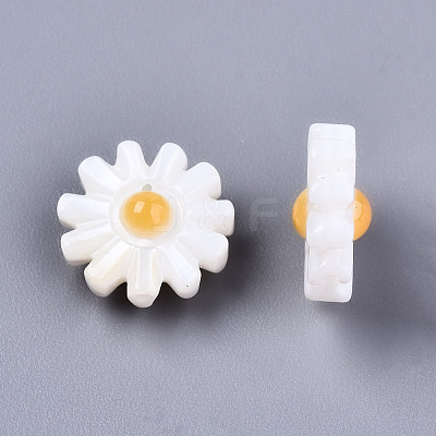 Natural Freshwater Shell Beads SHEL-S266-14A-1