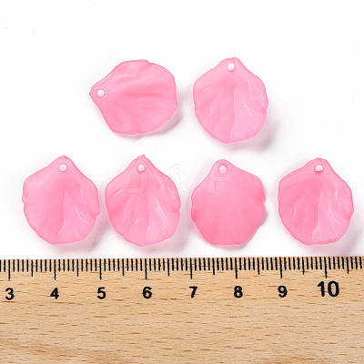 Transparent Frosted Acrylic Pendants MACR-S371-01A-704-1