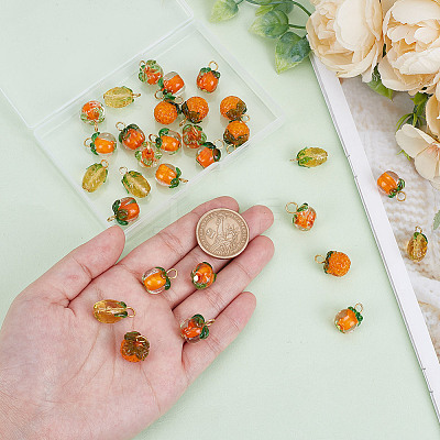 30Pcs 5 Styles Glass & Lampwork Pendants PALLOY-AR00021-1