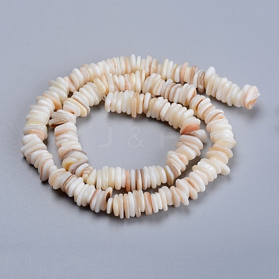 Natural Freshwater Shell Beads Strands SHEL-D078-01B-1