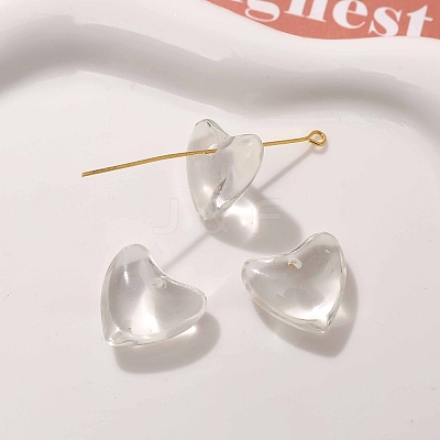 Trajnsparent Resin Pendants CRES-D306-03B-1