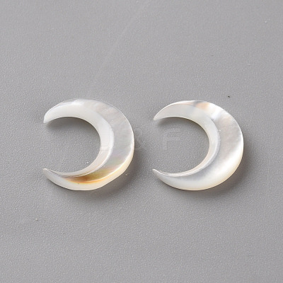 Natural White Shell Beads SSHEL-Q311-004B-01-1