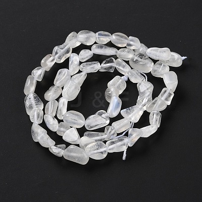 Natural Rainbow Moonstone Beads Strands G-P497-01C-62-1