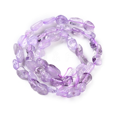 Natural Amethyst(Dyed & Heated) Beads Strands X-G-P497-01C-47-1