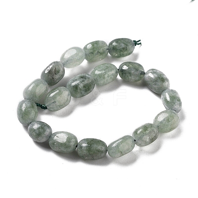 Dyed Natural Malaysia Jade Beads Strands G-P528-I06-01-1