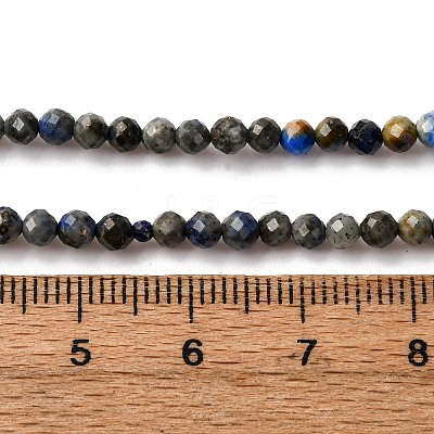 Natural Lapis Lazuli Beads Strands LS-G-L629-B01-3mm-03-1