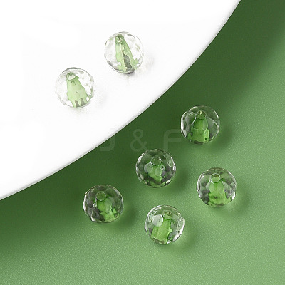 Transparent Acrylic Beads LS-MACR-S373-133-T03-1