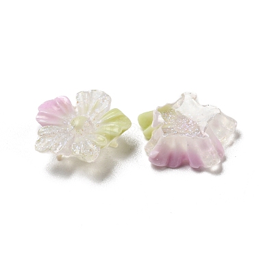 Luminous Transparent Resin Decoden Cabochons LS-RESI-D013-06D-1