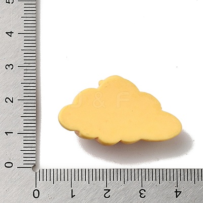 Opaque Resin Imitation Food Decoden Cabochons X-CRES-H001-03B-1