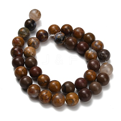 Natural Wealth Stone Beads Strands G-C289-B01-10mm-1
