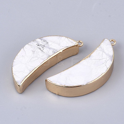 Electroplate Natural Howlite Pendants G-S344-88I-1