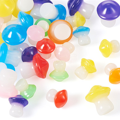 30Pcs 2 Styles Luminous Resin Mushroom Ornament RESI-TA0004-04B-1