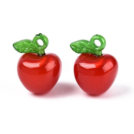 Korea Acrylic Pendants X-OACR-L009-H02-1