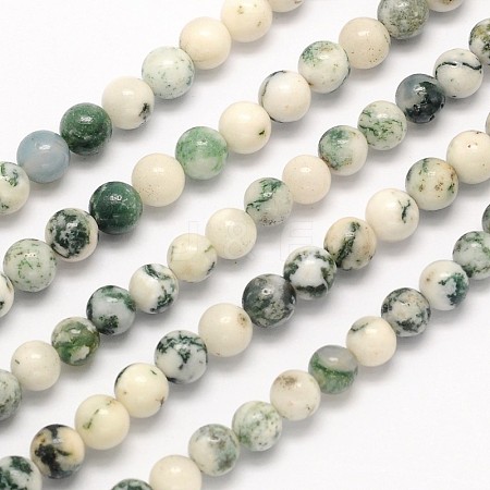 Natural Tree Agate Beads Strands G-N0166-11-8mm-1