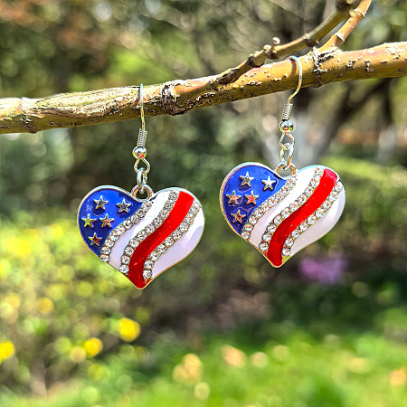 Independence Day Theme Alloy Enamel Dangle Earrings FS-WGE9304-01-1