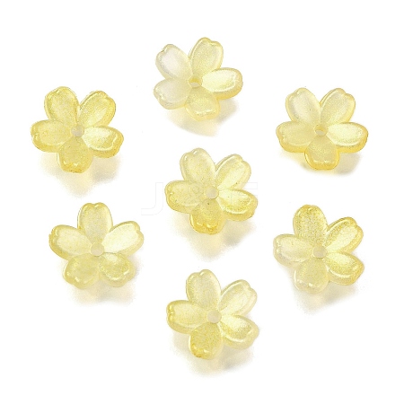 Acrylic Bead Caps OACR-I024-01B-1