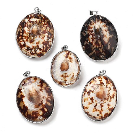 Electroplate Natural Shell Pendants KK-F882-03P-1