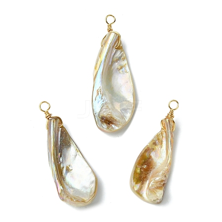 Electroplated Natural Freshwater Shell Pendants PALLOY-JF03336-1