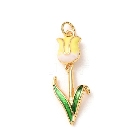 Brass with Enamel Pendants KK-CBA2F11-06G-02-1
