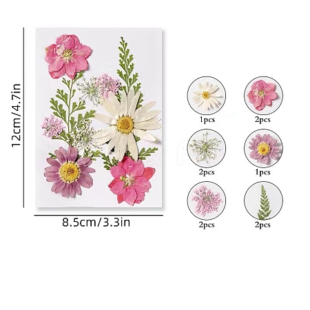 Dried Flower Sets PW-WG14974-04-1