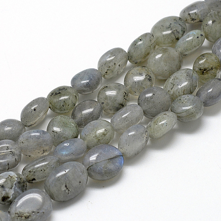 Natural Labradorite Beads Strands X-G-R445-8x10-20-1