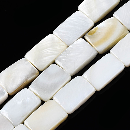 Natural Freshwater Shell Beads Strands X-SHEL-Q024-013-1