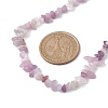 Natural Lepidolite/Purple Mica Stone Chip Beaded Necklace NJEW-JN04616-04-3