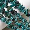 Natural HuBei Turquoise Bead Strands G-H345-A01-12-1
