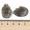 Natural Labradorite Pendants G-K359-03E-3