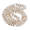 Electroplate Transparent Glass Beads Strands EGLA-N002-31-F04-3