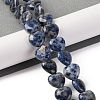 Natural Blue Spot Jasper Beads Strands G-I372-A13-02-2