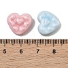 Handmade Porcelain Beads PR-CBA462C-02-3