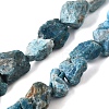 Natural Blue Apatite Beads Strands G-S386-C11-2