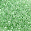 Ceylon Glass Seed Beads SEED-K009-02B-27-3
