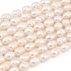 Natural Cultured Freshwater Pearl Beads Strands PEAR-F020-22B-2