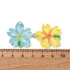 Transparent Resin Pendants RESI-A046-05H-4