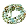 Natural Chalcedony Beads Strands G-B159-A07-3