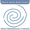 3 Strands Natural Apatite Beads Strands G-OC0003-01-4