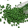 TOHO 6/0 Round Beads SEED-XTR06-0047-1