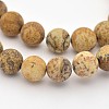 Natural Picture Jasper Beads Strands G-D659-6mm-1