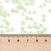 6/0 Luminous Glass Seed Beads X1-SEED-NH0001-01H-5