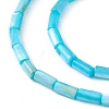 Natural Freshwater Shell Dyed Beads Strands SHEL-M018-11-04-3