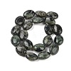 Natural Serpentine Beads Strands G-I231-01-5