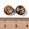 Natural Tiger Eye Beads G-L524-20X-02-3